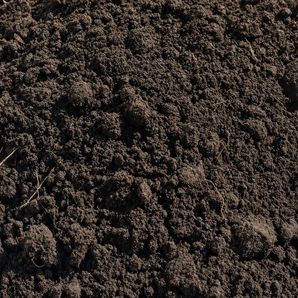 Top Soil